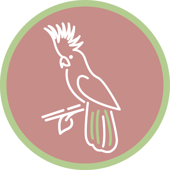 biodiversity icon