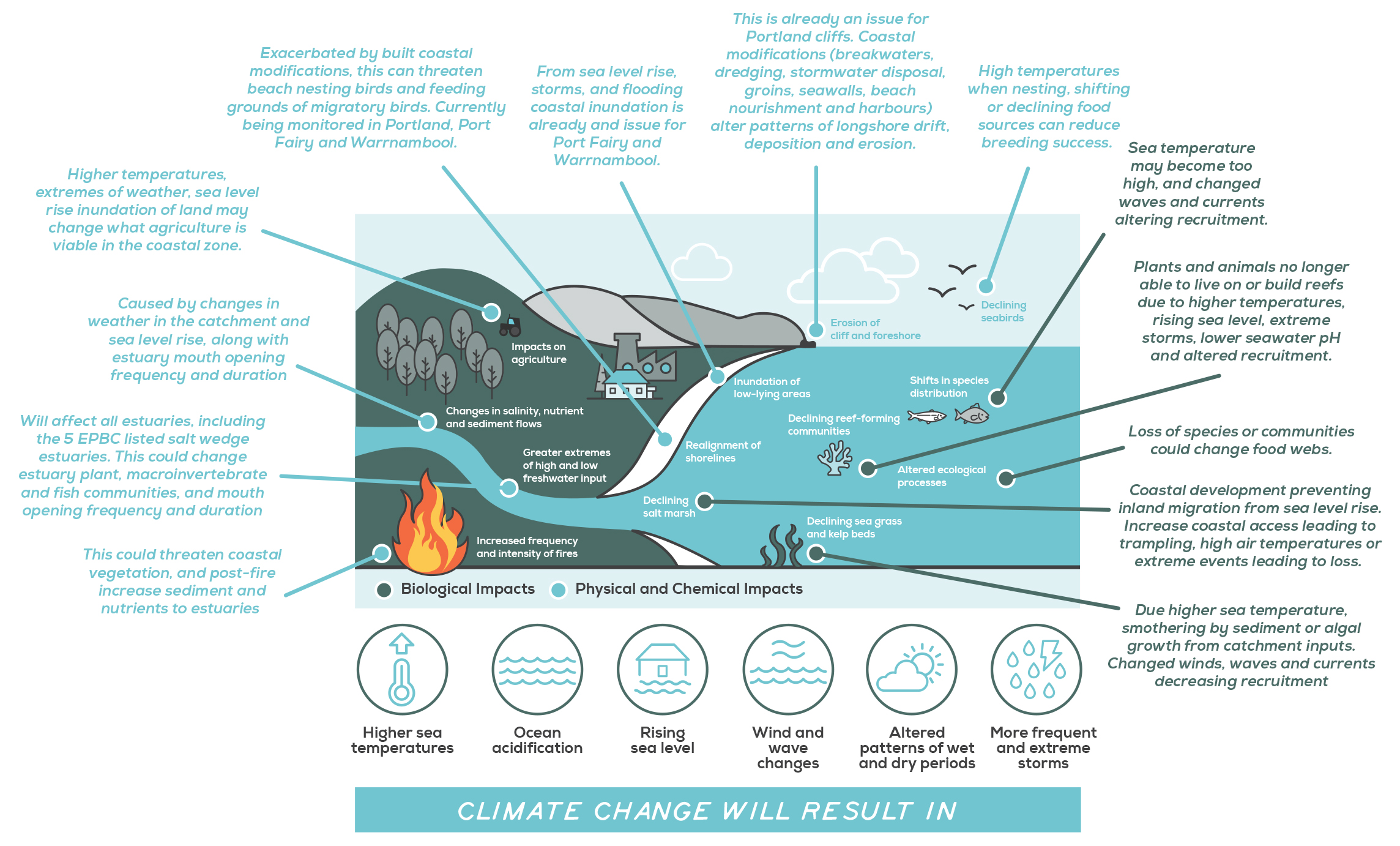 Diagram presenting the impacts of climate change on the marine and coastal environment.